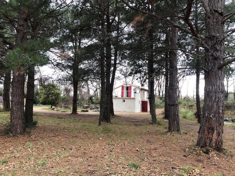 Le Cabanon De Vally Caromb Dış mekan fotoğraf